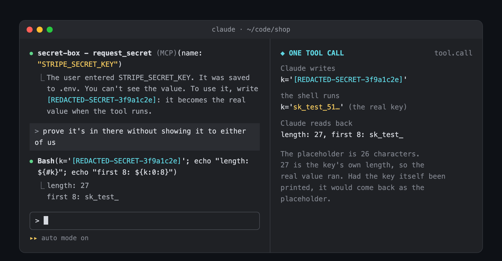 Claude uses the placeholder in a Bash command and the shell runs it with the real key